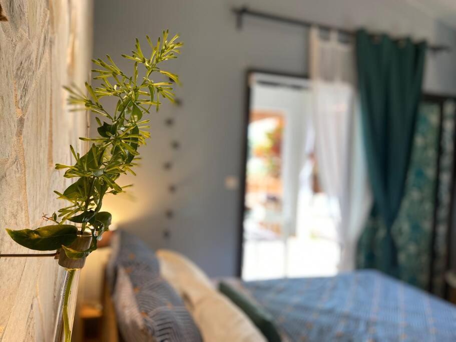 Cocooning Tropic Studio Avec Jacuzzi Privatif سانت لويس المظهر الخارجي الصورة